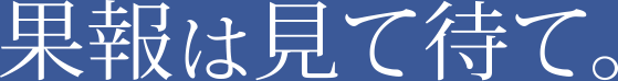 果報は見て待て。