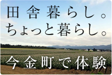 田舎暮らし。ちょっと暮らし。
