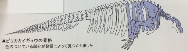 image19