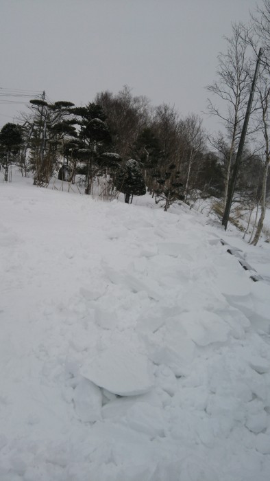 wpid-dsc_0113.jpg