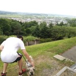総合公園
散歩をしながら今金町の景色を楽しめます。