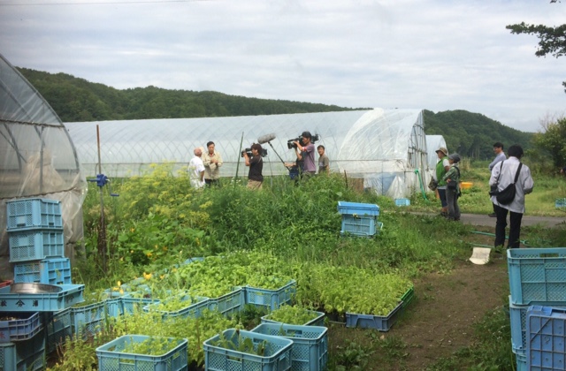 image5 (1)
