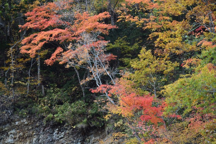 解像度低い９
